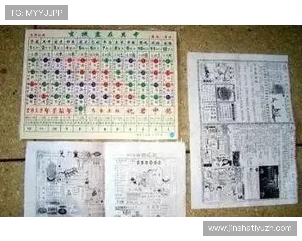 澳门金沙六合彩新手入门指南全面解析游戏规则与最佳投注方案