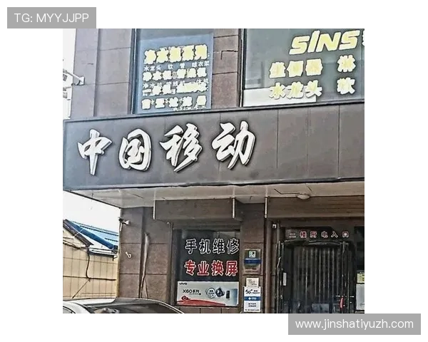 大阳城地址登录入口最新官方入口地址及安全登录指南 大阳城地址登录入口最新官方入口地址及安全登录指南