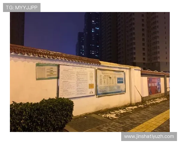 澳门威斯尼斯人安全保障措施全面解析，确保玩家资金与个人信息安全