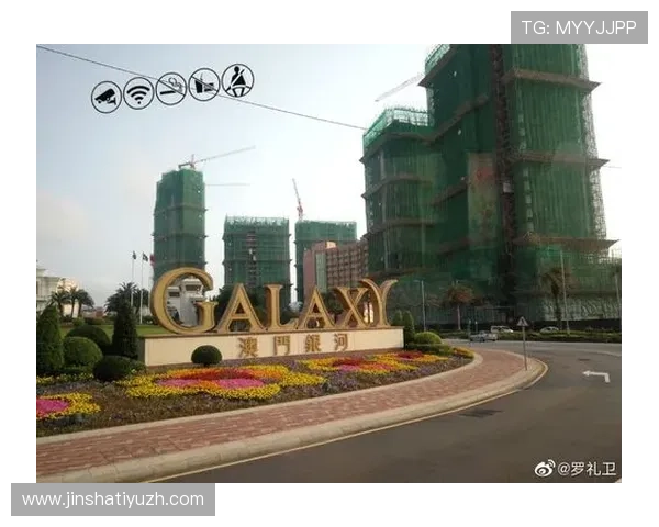 澳门总统在线地址官方入口导航，解决登录难题的详细操作流程