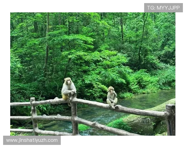 探索澳门娱乐旅游的最佳路线与必访景点，打造难忘的假期体验