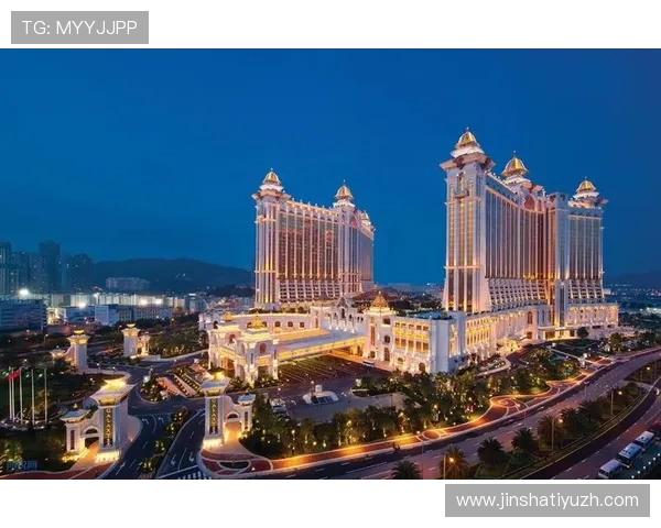 澳门六张赌牌的申请条件与流程详解，助力企业合法进入澳门博彩行业的实用指南