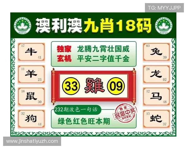 澳门彩登陆游戏攻略大全，详细解析玩法技巧提升你的中奖几率