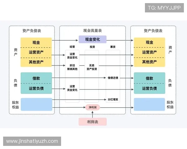 金沙国际财富有限公司的财务状况与盈利能力分析，投资者必读指南